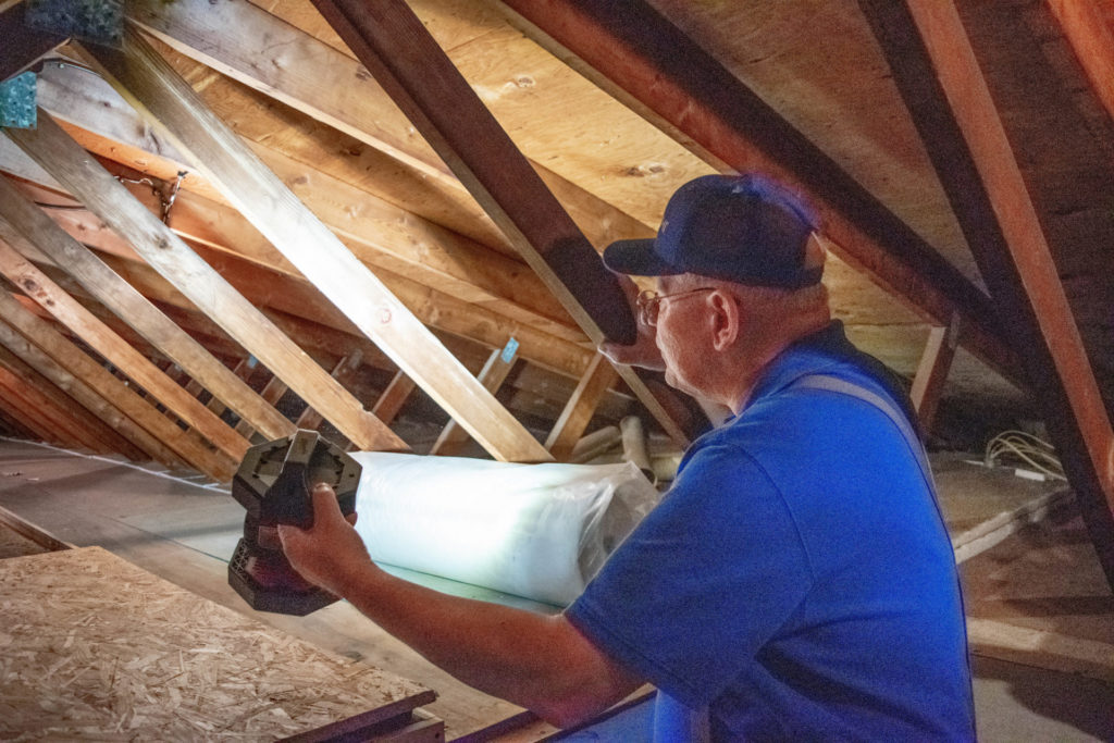 attic inspection